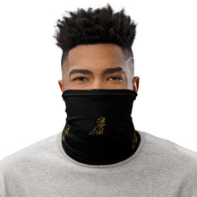 Load image into Gallery viewer, Dino Mask
